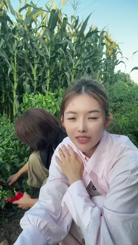 ##单身 #台湾 #日常生活 