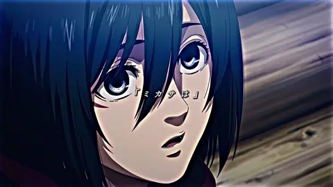 エレミカ報われて欲しかった #進撃の巨人 #AttackOnTitan #ミカサ #エレン #fyp 