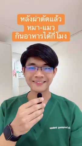 หลังผ่าตัดแล้ว หมา-แมว กินอาหารได้กี่โมง #ผ่าตัดหมาแมว #ทําหมันแมว #ทําหมันหมา 
