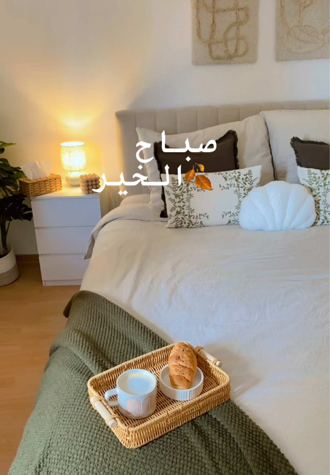 #foryou #fypシ #اكسبلور #explore #fyp 