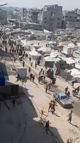 #فلسطين #غزة_العزة🇵🇸 