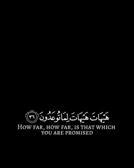 سورة المؤمنون #القران_الكريم #سالم_الدوسري #الله_عزوجل 