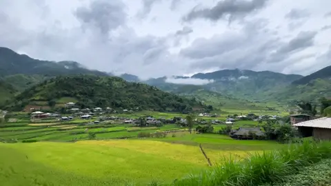Bản Lìm Mông nơi mùa vàng trải dài bất tận, đẹp như tranh vẽ. Còn chần chờ gì nữa book ngay mình chở đi Lìm Mông hôm nay nhé.#lyhumucangchai #limmong #mucangchai #travel #xuhuongtiktok 