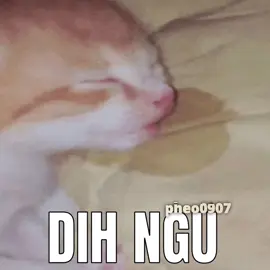 Đăng trễ :)) | cre : tubby_hat #chemlod2 #pheo0907 #alightmotion 