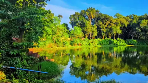 pixel 7 video quality 📸#