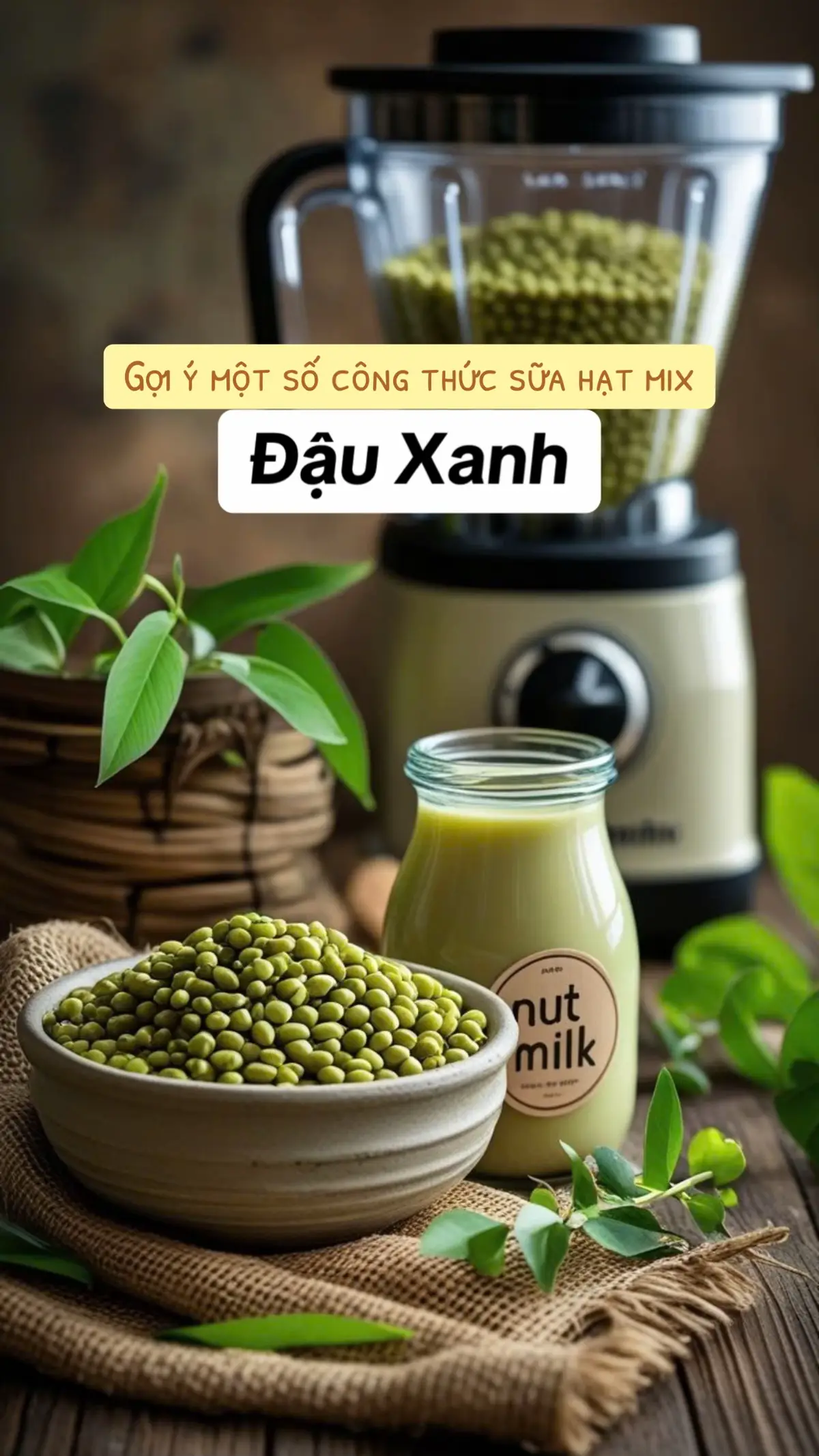 Gợi ý một số công thức sữa hạt mix hạt đậu xanh #dauxanh #sua #suahat #suahatdinhduong #suckhoechomoinguoi 
