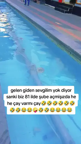 #🤣🤣🤣🤣🤣🤣🤣🤣🤣🤣🤣🤣🤣🤣🤣🤣 