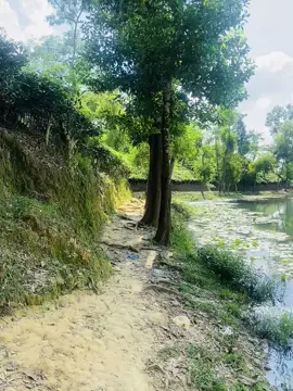 সুবহানাল্লাহ্ এতো সুন্দর ছিল শ্রীমঙ্গল এর মাধবকুন্ড লেক।#seremongol #subhanallah #niceview #foryou 