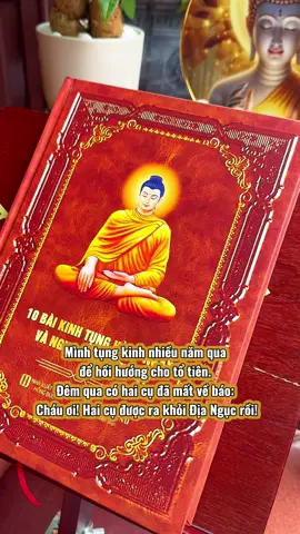 Phật pháp nhiệm màu #tutaptaigia #phatphapnhiemmau #lenxuhuong #samhoimoingay 