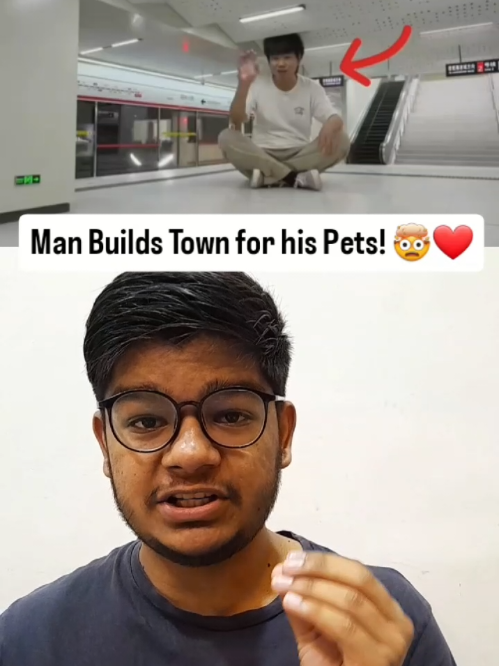 This Man @Xing’s World Made an Entire Town For his Pets? #pets #viral #entertainment #fyp #usamabriefs 