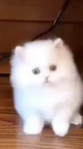 #цьогодня 