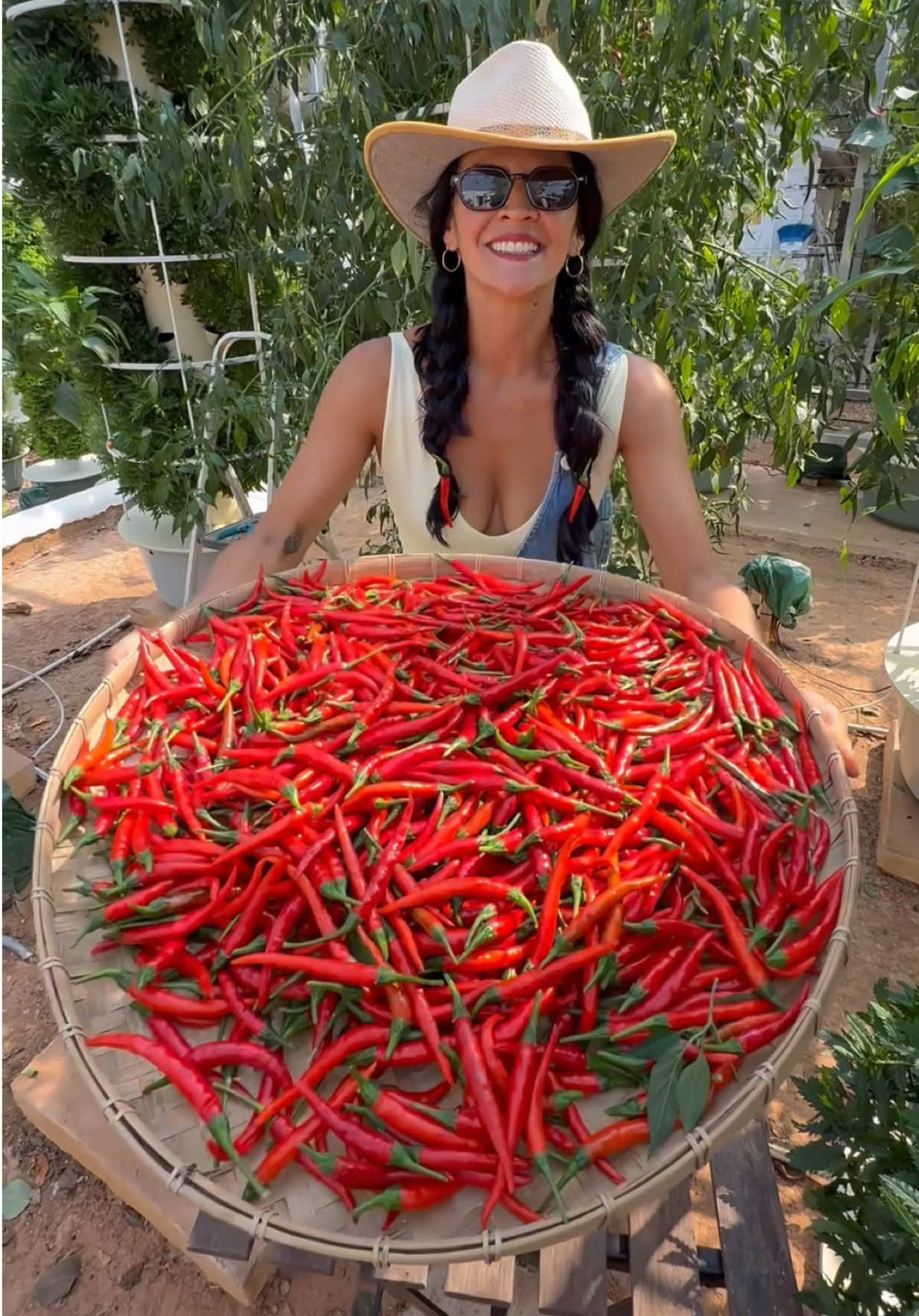Every harvest from an aeroponic tower is an example of farming at peak efficiency. Using intermittent irrigation, the roots spend 80% of their time suspended in air, giving them full oxygen availability. This maximizes nutrient absorption, allowing plants to grow faster, bigger, and more consistently while using far less space and water than traditional farming. #farming #agriculture #gardening #horticulture #verticalfarming #aeroponics #soilless #hydroponics