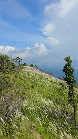 #terhathummuser❣️🇳🇵 #peace  #nature #fyp #foryoupage 