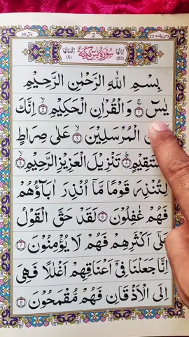 Recitation Of Quran Surah Ya-Sin 📖 🎧 💝✨️ #🤍 #quran #fyp #fypシ #foryoupage 