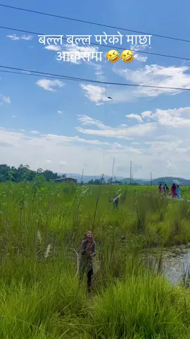 बल्ल बल्ल परेको माछा आकसमा 🤣🤣#fishing #fish #katari #trending #viral 