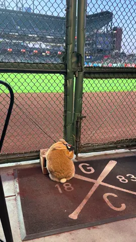 Mom, can I just watch #baseball please. Don’t mind me 