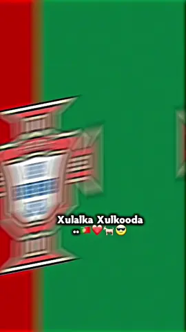 portugal awoda xulalka🇵🇹🐐😎#portugal #typ #foryoupage #madrid #manchestercity 