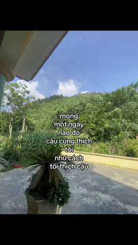 Gửi cậu. #xhhhh #fypシ゚ #crush 