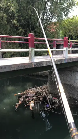 🎣#fyp #masukberanda #mancing #melem #yogyakarta 