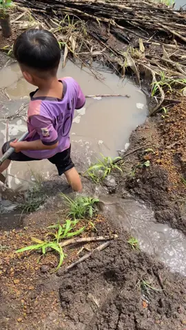 Chết mẻ mua giống cà quên mua giống lúa 😂