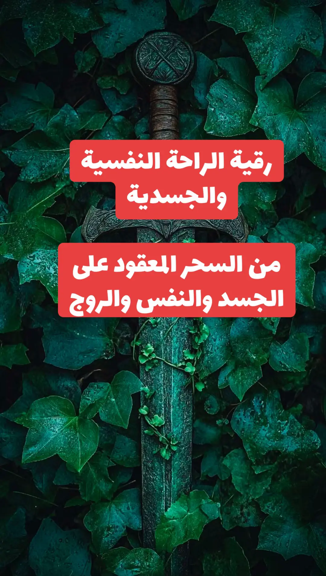 #raed_al_halees #رائد_الهليس #raed2024 #يطاوي #fypraed 