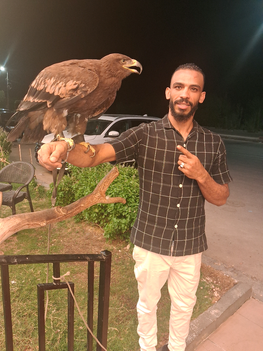 الله غااااالب☝️