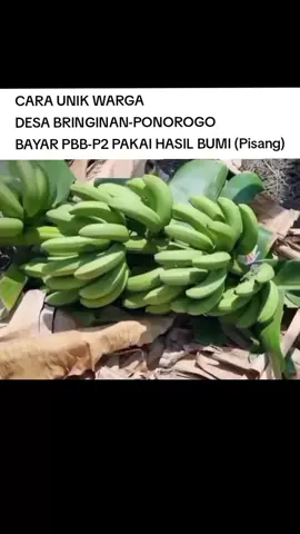 Solusi Cepat Lunas PBB #ComfortSegredos #fypage #fypシ゚viral🖤tiktok #fypツ #fyp 