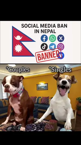 hehe😆 #fyp #viral #funny #meme #trending 
