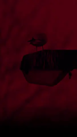 تعرفني صاحب ذنب #رباح_العيساوي  . .  #RabahAlIssawi #رباح_العيساوي #اللهم_عجل_لوليك_الفرج #لايك 