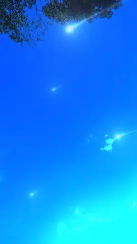 #onthisday #dheery dheery #ayetal22 #foryou 