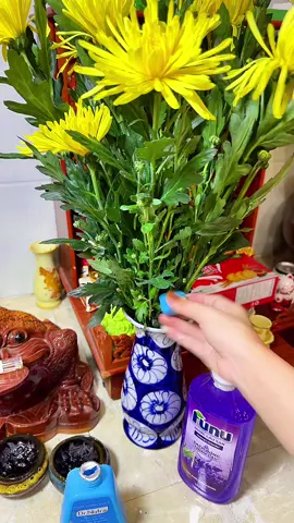 l Nước Dưỡng Hoa DR.NATRO Cao Cấp Công Nghệ Nhật Bản DR NATRO HABELA #nuocduonghoa #duonghoacongngheNhat #drnatro #huongtichcuc74 #huongchiase74 