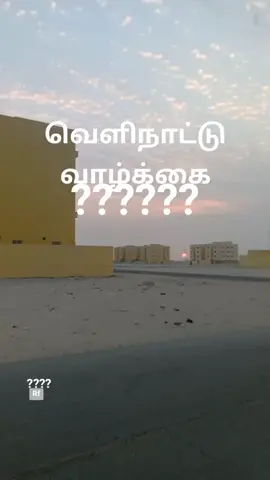 #tiktok Qatar boys 