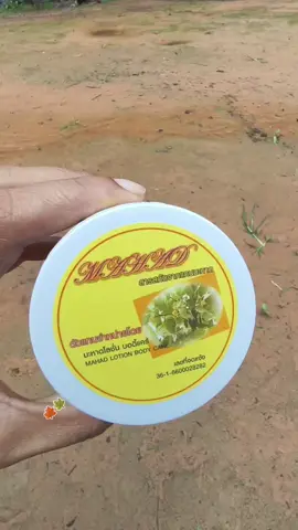 #ครีมผิวขาวใส #หัวเชื้อผิวขาว #มะหาดกระปุกเหลือง 