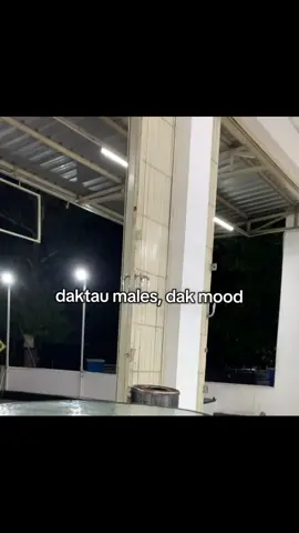 #bangkabelitung #bangkabarat #bangkatengah #bangkaselatan #kata_ko 