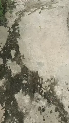 #beatkarbu #masukberandafyp #platkbniboss🥵 #masukberanda #fyppppppppppppppppppppppp 