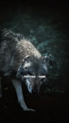 I win.. #mindset #motivation #foryoupage #viral_video #explore 