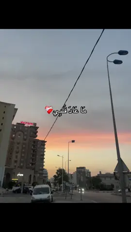 #tunsia #viral #Love #algeria #fyp 