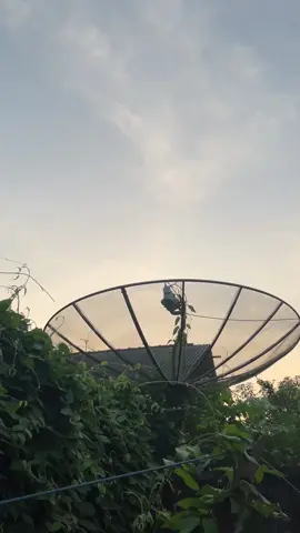 😇  #supralembuv2🚀 #berkahlembugank #suprax125 #kphgank🚀 #fyp 