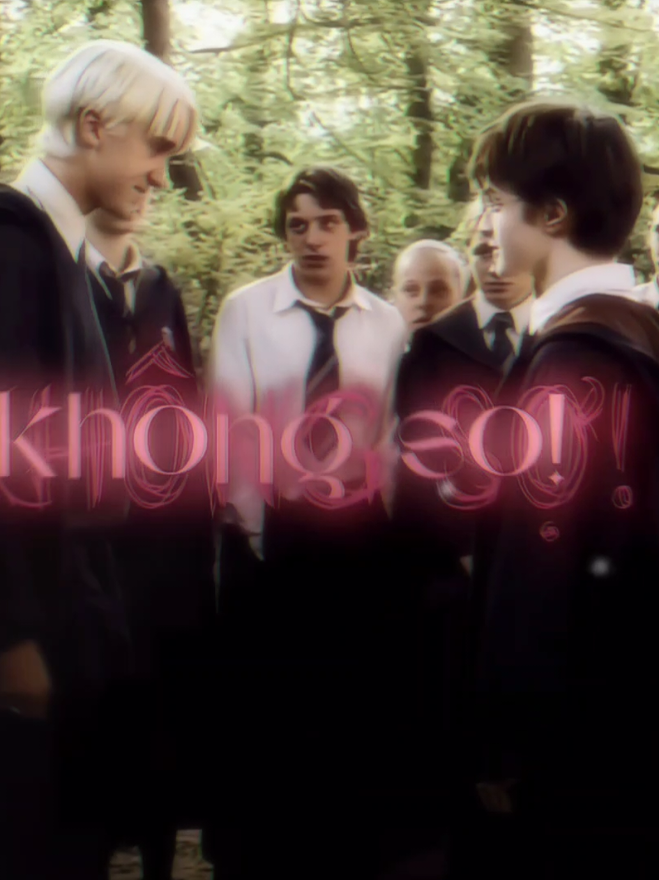 Đụng nhầm hội đồng quản trị rồi Draco ơi =))) #drarry #hermionegranger #harrypotter #dracomalfoy #viral fyp SƠN TÙNG MTP @TikTok @TikTok Vietnam 