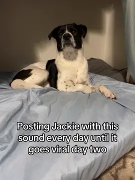 #welldamnjackie 