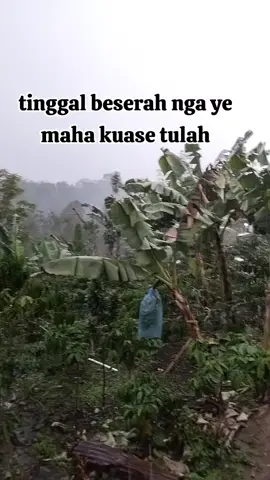 cuacanya lagi gak bagus🤦
