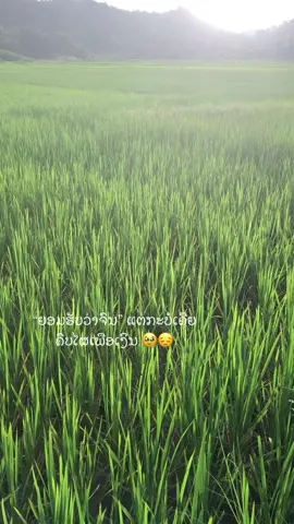 ຄົນເຮົາເລຶອກເກີດບໍ່ໄດ🫠#ຟິດດດດດ🥺 