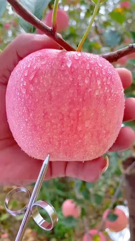 (1 minute) Amazing fruits 🍎 #asmrfood #fruits #asmr  #satisfyingvideos #asmrsounds 