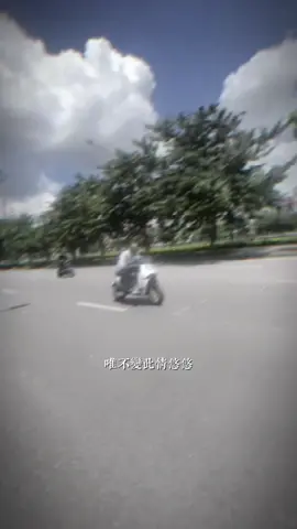 muốn xem gps ko cả nhà🌚#viral #gogodo #xuhuong #ecopark 