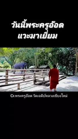 #พลายศักดิ์สุรินทร์ #ช้าง #ช้างไทย #คนรักช้าง🐘💚 #ศูนย์อนุรักษ์ช้างลําปาง 