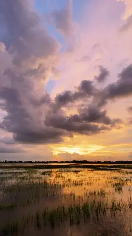 #CapCut Bloody mary . #capcutradio #bloodymary #capcutpioneer #pioneertemplate 