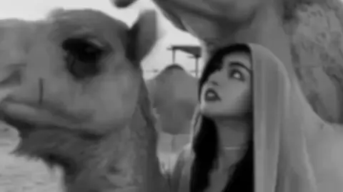 💤ت.#انتشار_سريع #اكسبلور_فولو #fppppppppppppppppppppppp❤️ #خيل_وخياله🐎 #الشعب_الصيني_ماله_حل😂😂 