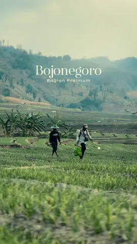 Keindahan Dataran Tinggi di Bojonegoro🍃 enek sing roh iki neng dhi? #jonegoroku #bojonegoro #woderfulindonesia #explore