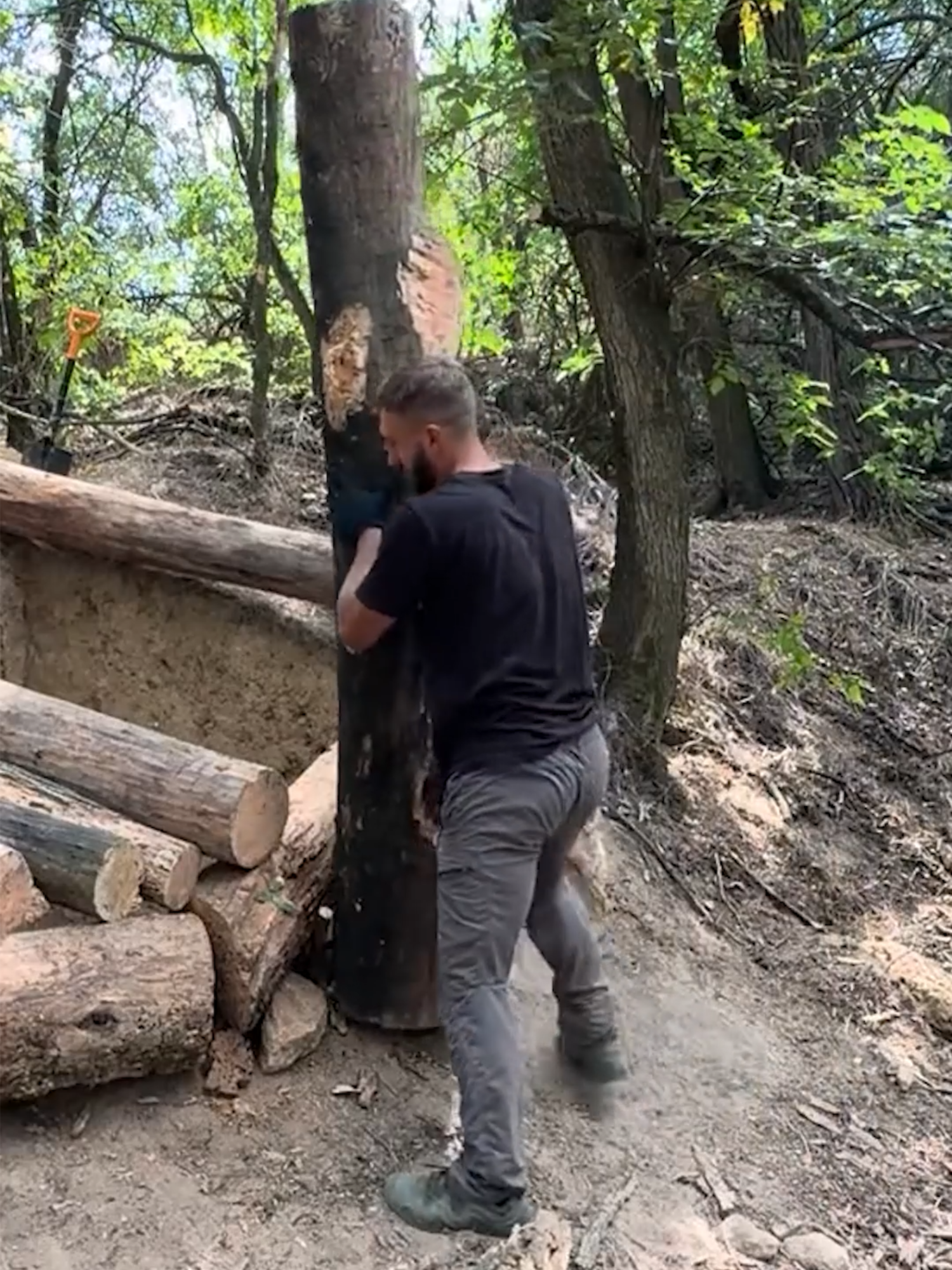 Building a Secret Dugout Between Two Trees. Bushcraft, Survival Shelter #bushcraft #camping #Outdoors #adventure #survival