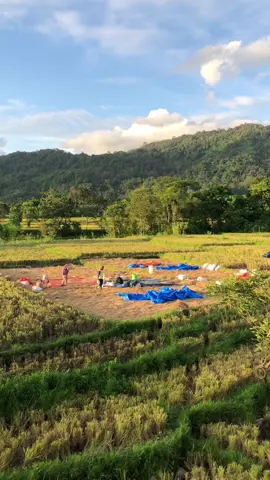 nanggroe geumpang#laguaceh #aceh #apache #fyp #beranda 